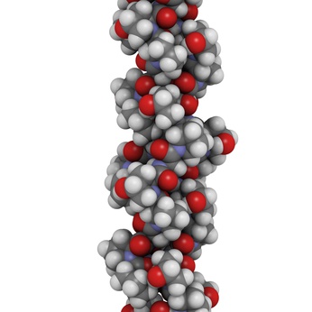 collagen model protein, chemical structure.